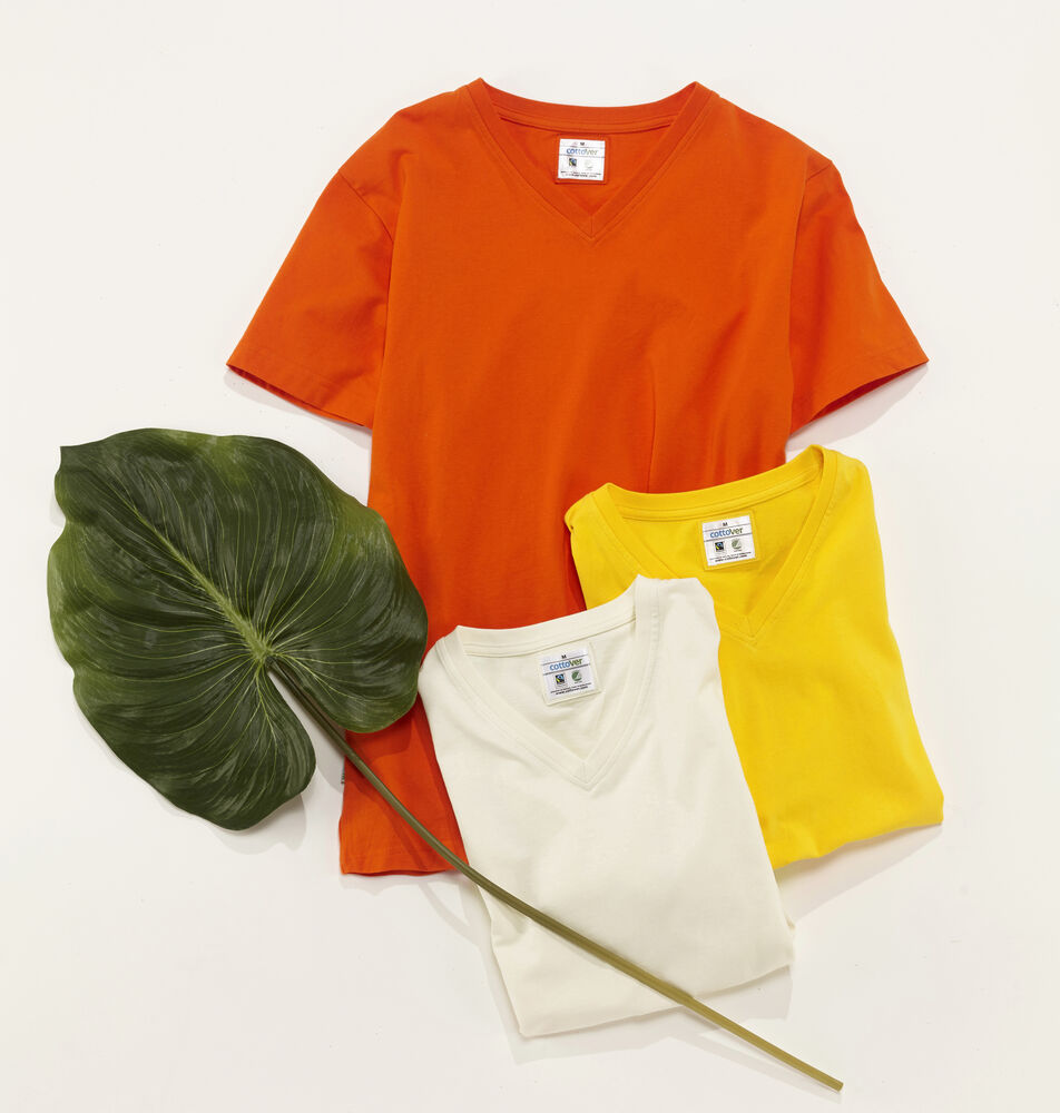 T-shirt V-neck Man (GOTS) - Bilde 12