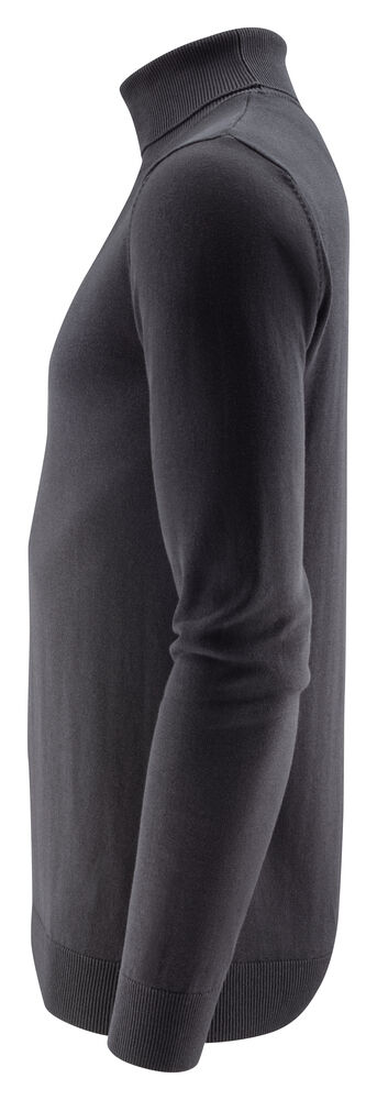 Ashland Turtle - Bilde 13