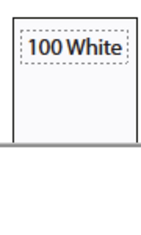 Scarsdale Polo Woman - Bilde 2