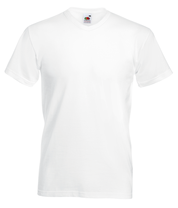 Valueweight V Neck Tee